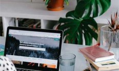 天涯社区会计板块趣谈