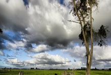 天涯社区算命趣事