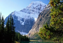 天涯社区算命趣事