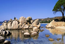 天涯社区算命趣事